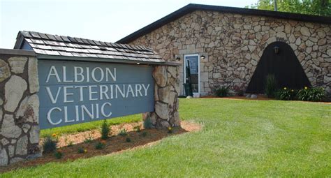 albion vet clinic