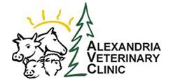 alex vet clinic alexandria mn