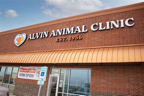 alvin vet clinic