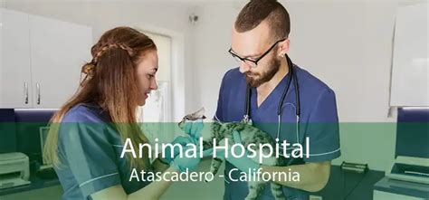 atascadero vet clinic