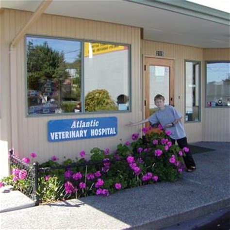 atlantic street vet clinic