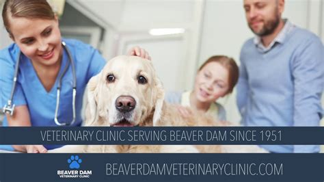 beaver dam vet clinic