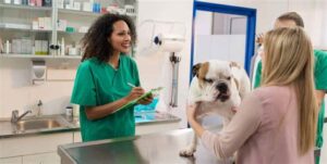 bowman vet clinic