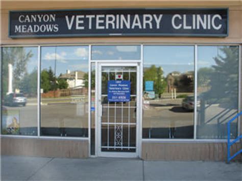 canyon view vet clinic