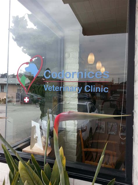 codornices vet clinic albany