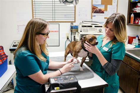 colfax vet clinic