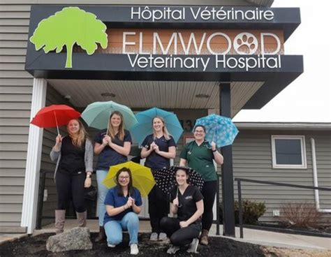 elmwood vet clinic