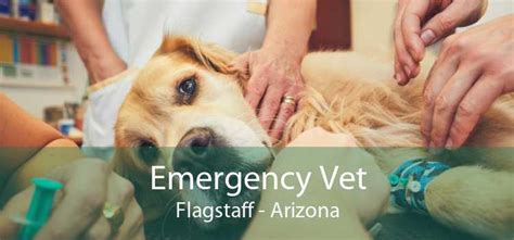 emergency vet clinic flagstaff