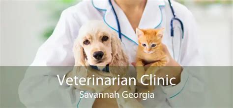 emergency vet clinic savannah ga