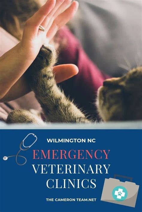 emergency vet clinic wilmington nc