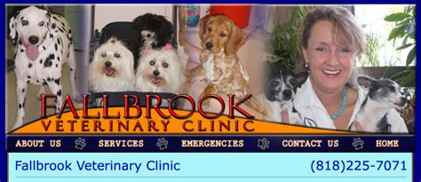 fallbrook vet clinic