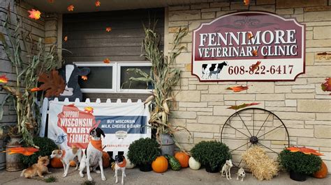 fennimore vet clinic