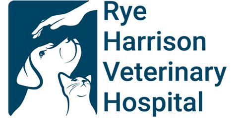 harrison vet clinic