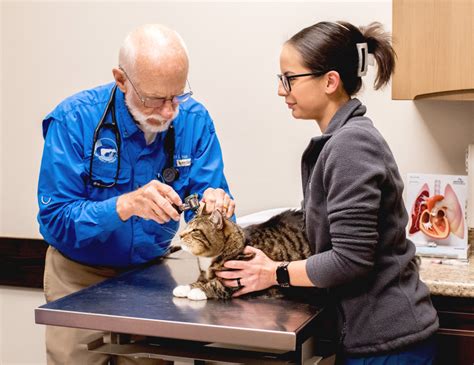 jesup vet clinic