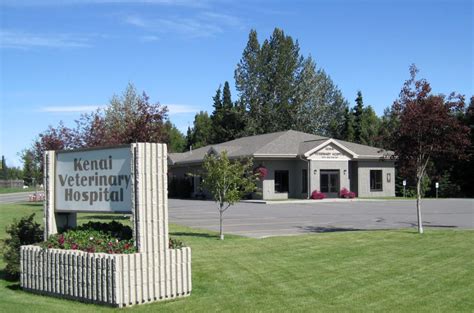 kenai vet clinic