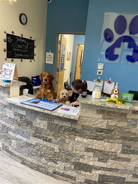 lake park vet clinic