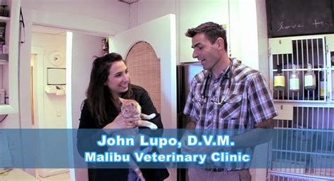 malibu vet clinic malibu ca