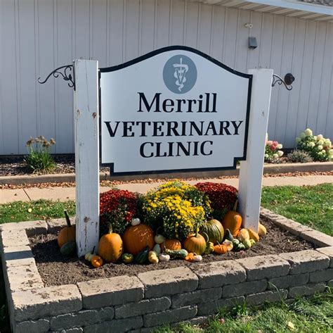 merrill vet clinic