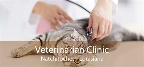 natchitoches vet clinic