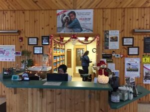 oberlin vet clinic