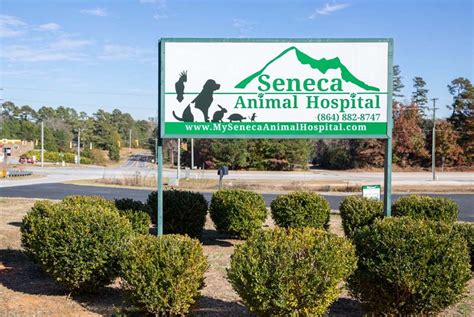 oconee vet clinic seneca sc