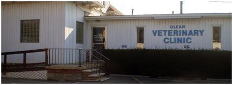 olean vet clinic