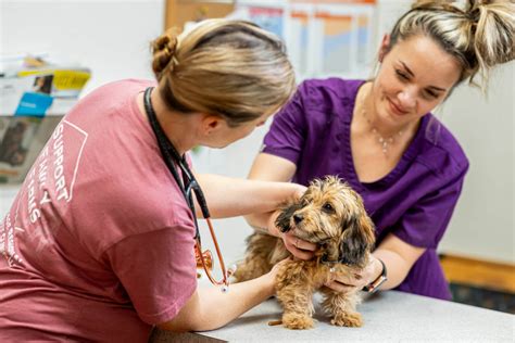 osage regional vet clinic