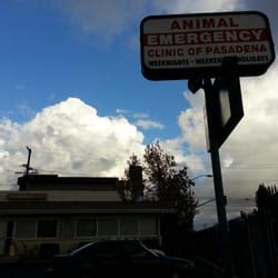 pasadena emergency vet clinic