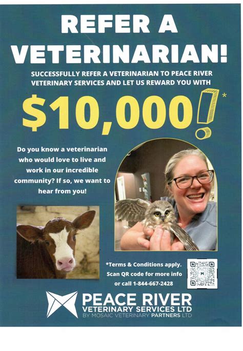 peace river vet clinic