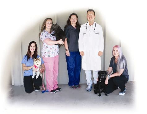 rancho bernardo vet clinic