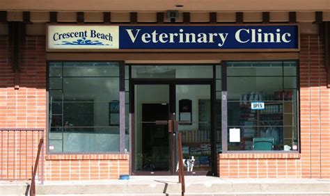 seaside vet clinic