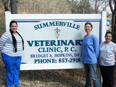 summerville ga vet clinic