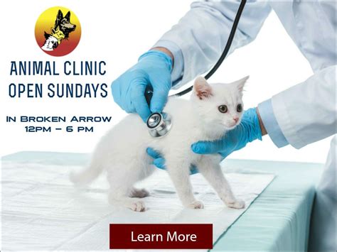 vet clinics open on sunday