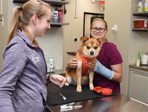 ypsilanti vet clinic